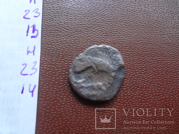 Монета Ольвии     (Н.23.14)~, фото №5