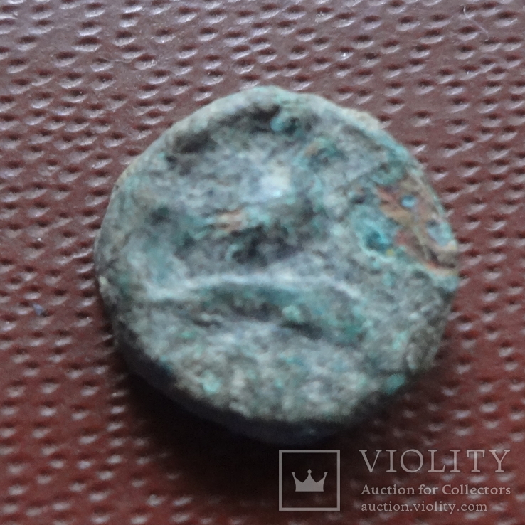 Монета  Ольвии  Орел на дельфине  (Н.24.16)~
