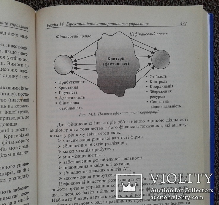 Корпоративне управлiння.(Навчальний посiбник)., фото №12