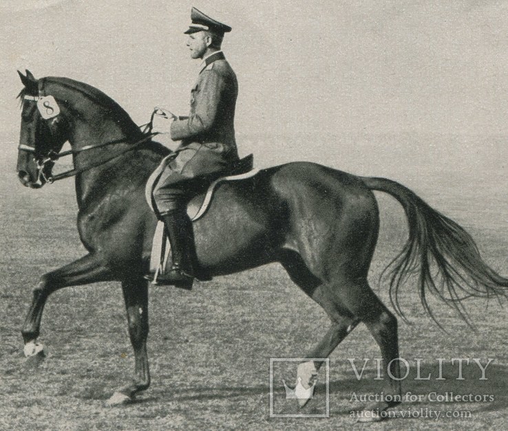 Рейх. Карточка к Олимпиаде 1936. Верховая езда