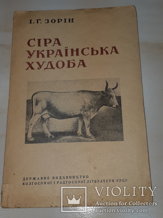 1940 Сiра українська худоба