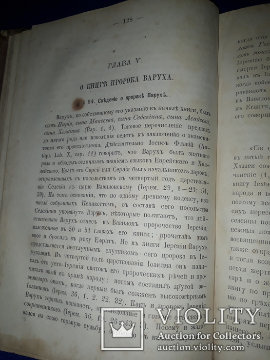 1873 Обозрение пророческих книг, фото №8