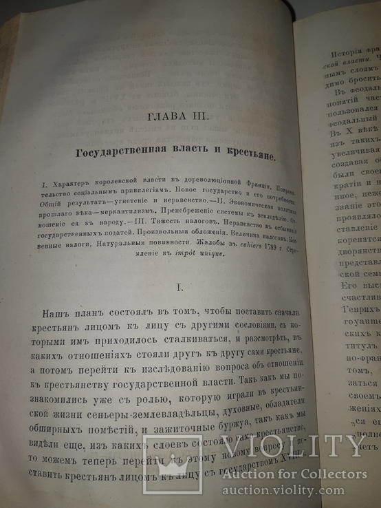 1879 Крестьяне и крестьянский вопрос, фото №8