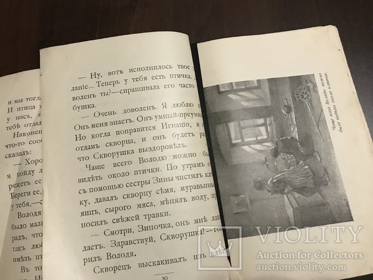 1911 История Скворушки, Детская книга, фото №9