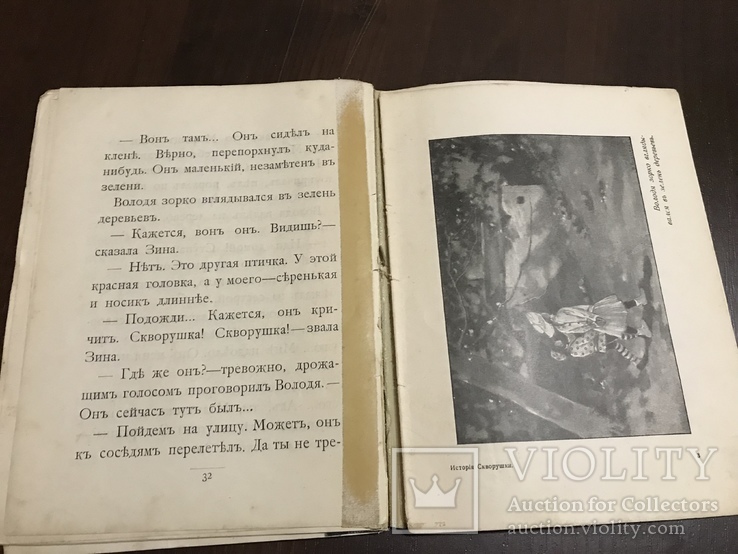 1911 История Скворушки, Детская книга, фото №10