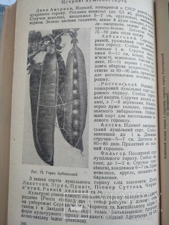 1937 г. Харьков Овочівництво, фото №2