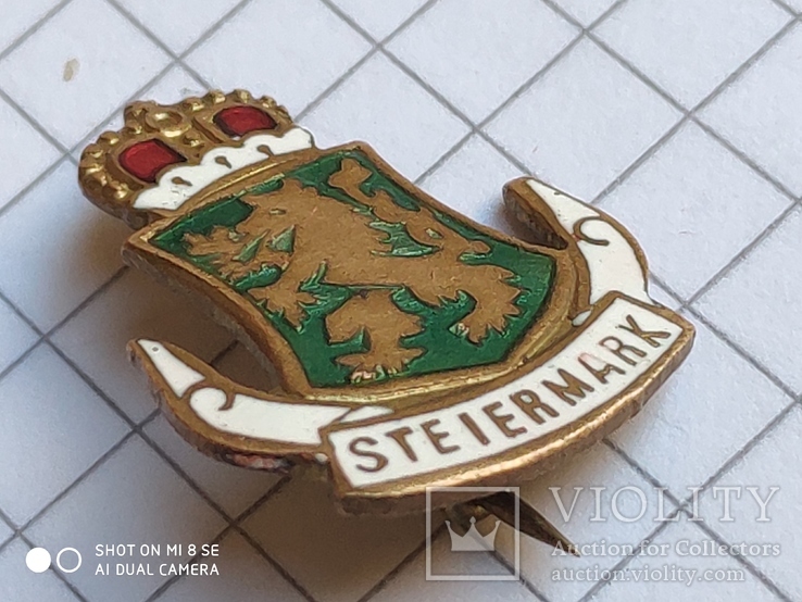 Знак Steiermark патриотика, фото №3