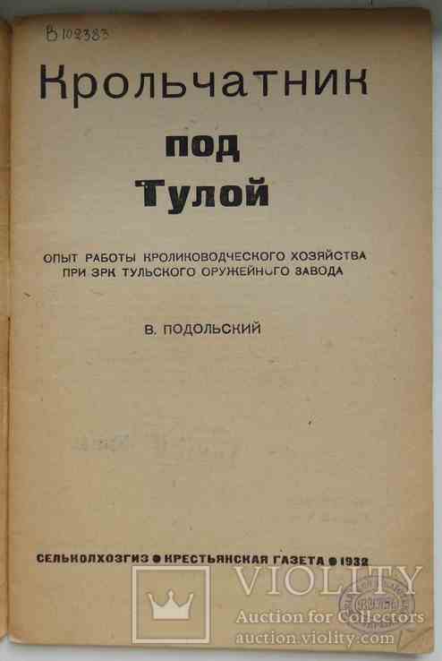 Крольчатник под Тулой. Подольский В. 1932, фото №3