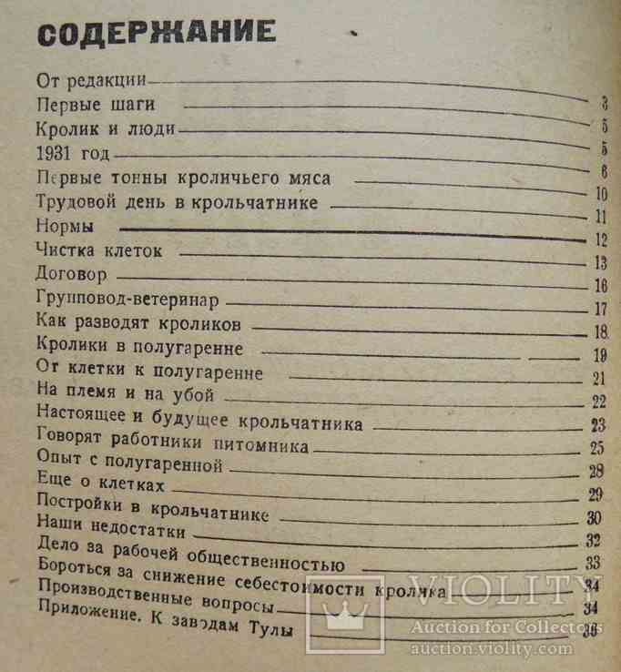 Крольчатник под Тулой. Подольский В. 1932, фото №4