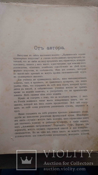 Игнатьева-Александрова П.П. Практические Основы Кулинарного Искусства.,СПб,1899., фото №5