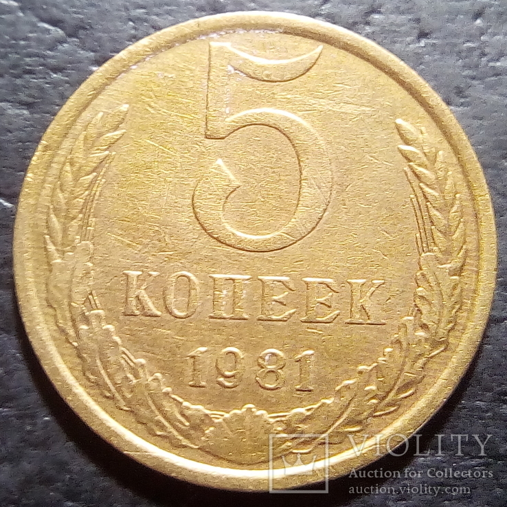 5 копеек 1981 год СССР шт. 3.2  (462), фото №2