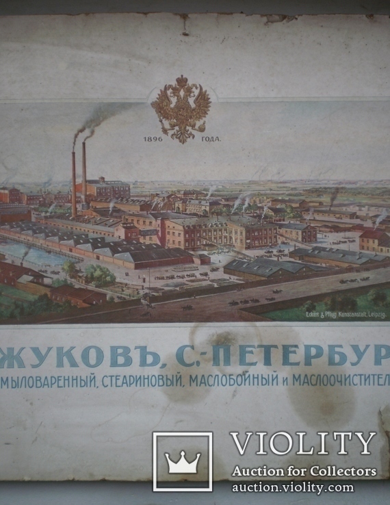 Plakat 1896 r . Rośliny Żukowa ., numer zdjęcia 5