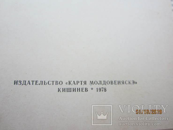 В.И.Белоножко-Крылова. Блюда из овощей и фруктов., фото №4