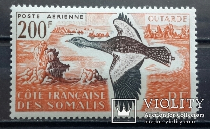 Французское Сомали. Птица. 1960 год., фото №2