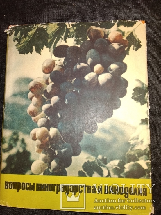 1967 Виноделие   Одесса юбилейная книга 60 лет заводу тираж 1 тысяча, фото №2