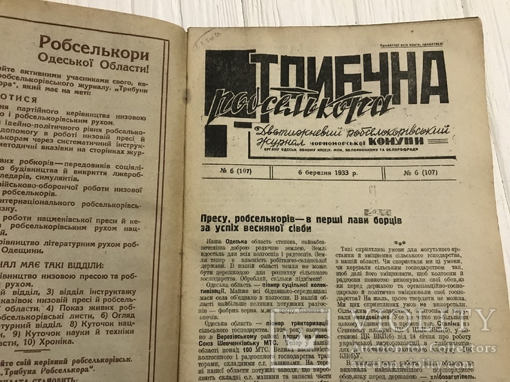 1933 Трибуна Робселькора Анмія диктатури пролетаріату, фото №4