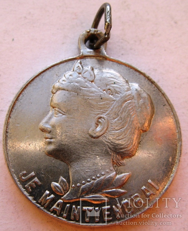 Нидерланды, медаль 1923 г. "25 летний юбилей правления Вильгельмины", фото №3