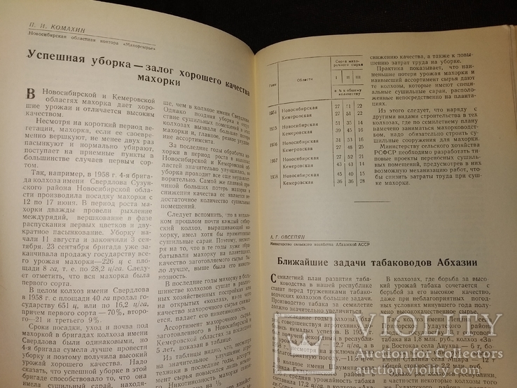 1959 журнал Табак номер 3 сигареты Папиросы махорка, фото №11