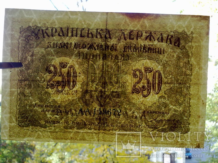 250 карбованцiв 1918, фото №4