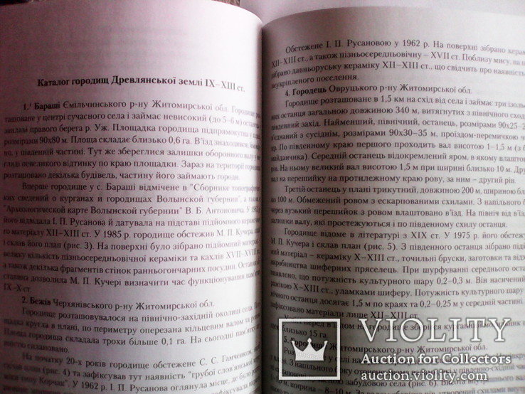 Городища ІХ-ХІІІ ст на території літописних дрєвлян 2008 р, фото №5