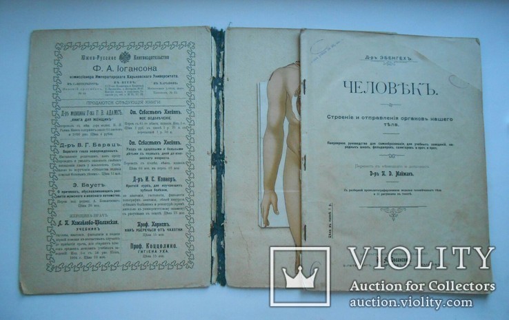 Книга ,,Человекъ.Разборная модель".Киевъ 1904г., фото №4