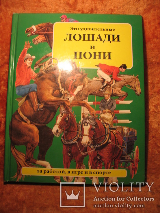 Лошади и пони, фото №2