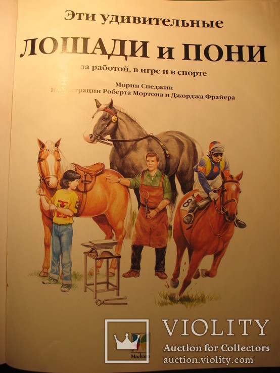 Лошади и пони, фото №4