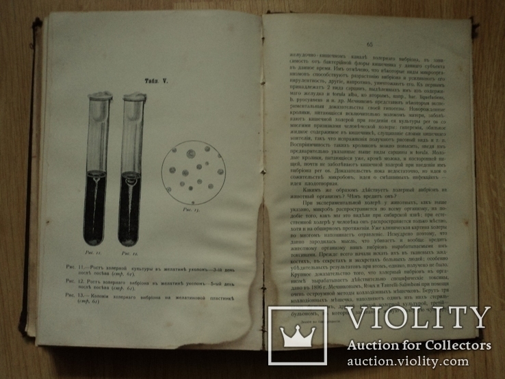 "Лекцiи по бактерiологiи" Н.Г. Ушинский, (Mathesis, Одесса 1908 г.), фото №9