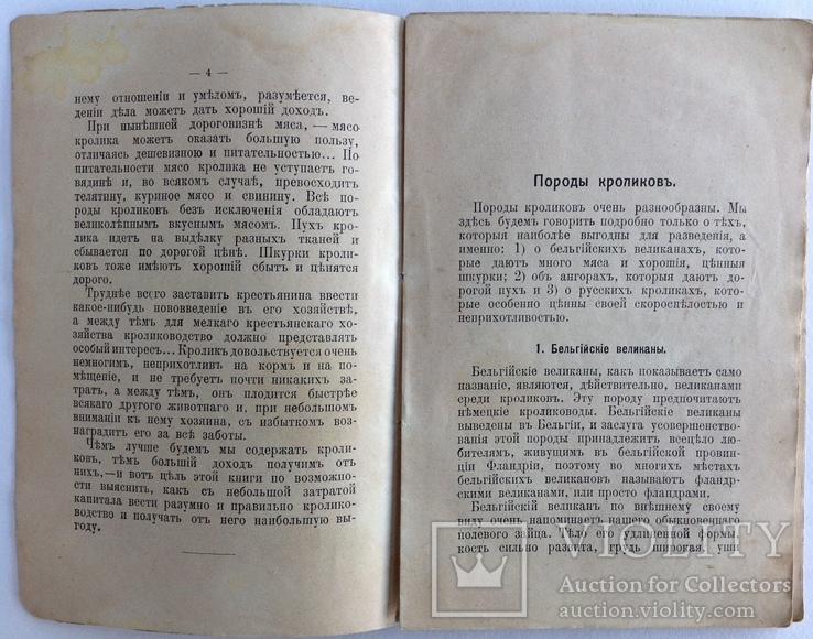 1913  Кролиководство. Иевлева Н., фото №5