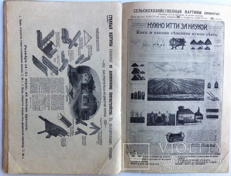 1913  Кролиководство. Иевлева Н., фото №7