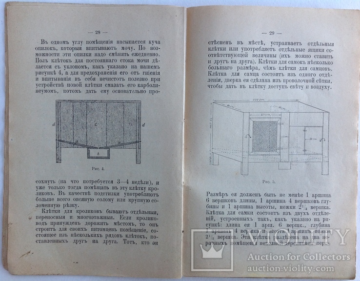 1913  Кролиководство. Иевлева Н., фото №10