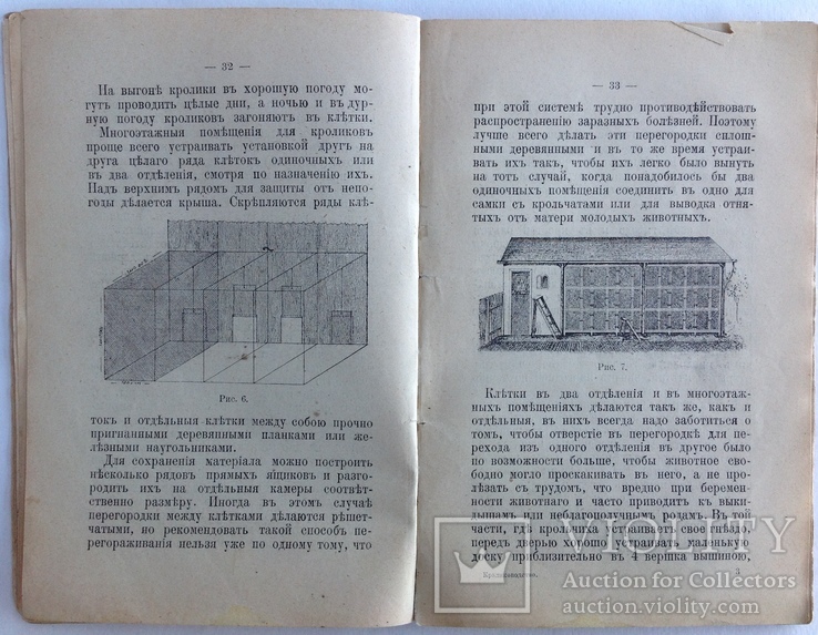 1913  Кролиководство. Иевлева Н., фото №11