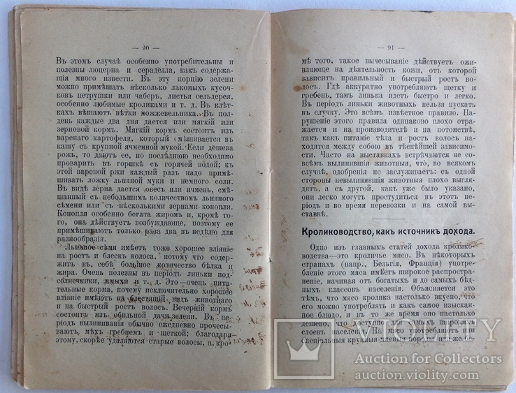 1913  Кролиководство. Иевлева Н., фото №13