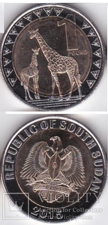 Sudan South Южный Судан - 1 Pound 2015 UNC JavirNV