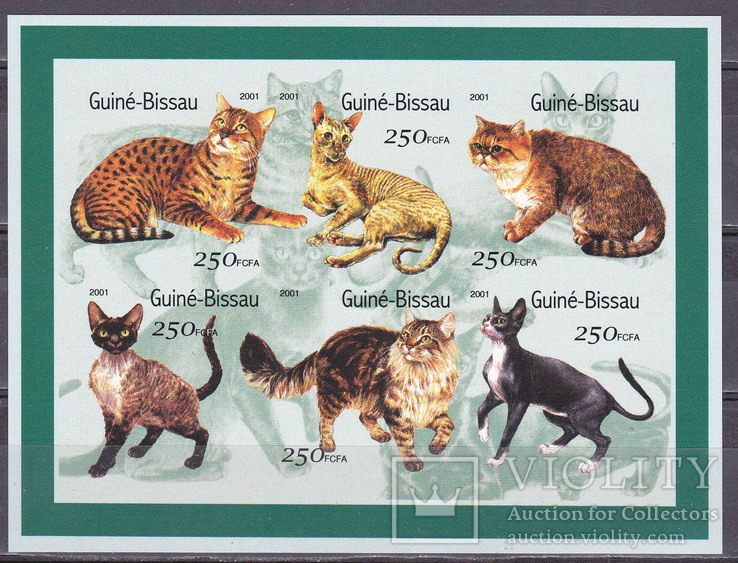 Гвинея -Бисау кошки, коты  MNH