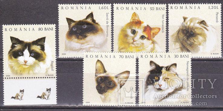 Румыния кошки, коты MNH