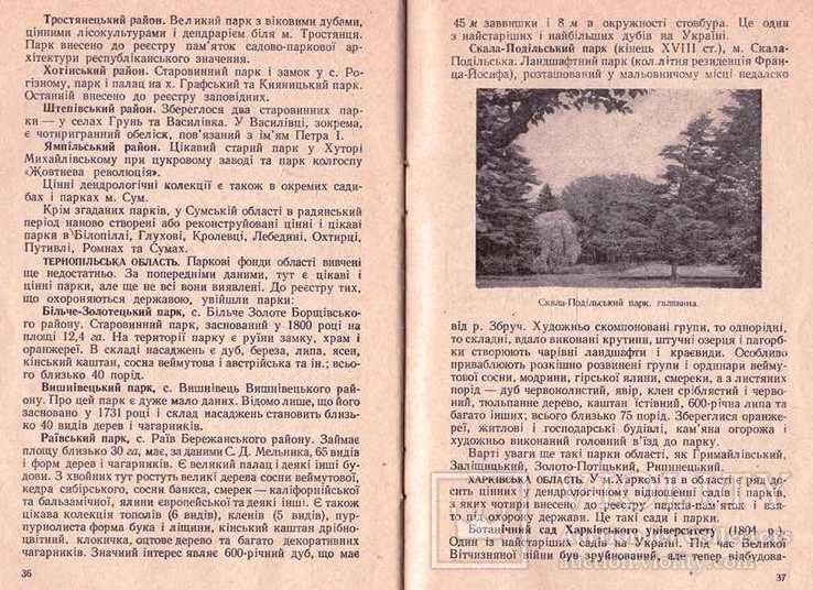 Сади і парки України.1961 р., фото №8