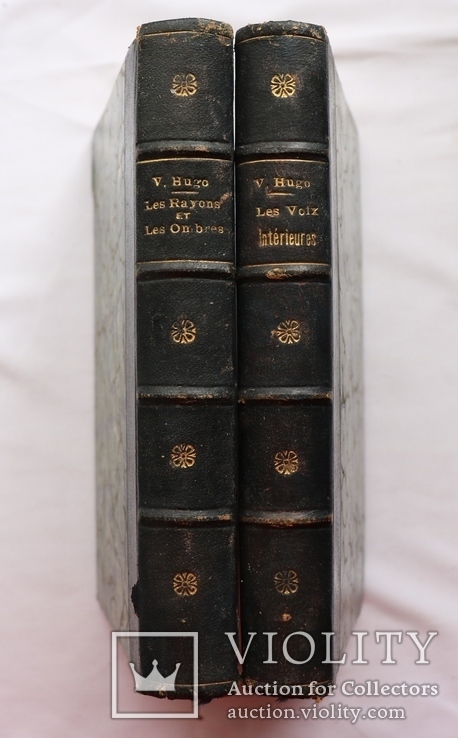 Віктор Гюґо, "Повне зібрання творів", т. 5 і 6 (Париж, 1888). Оправи А. Петцмана