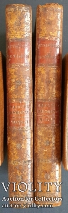 Начальные основания естественной истории. В. Севергин. 1791 - 1794 года., фото №2