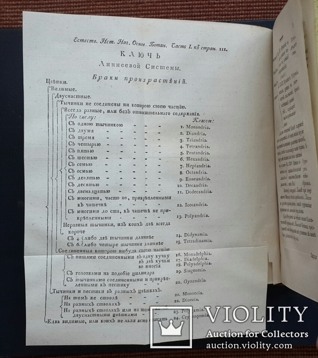 Начальные основания естественной истории. В. Севергин. 1791 - 1794 года., фото №7