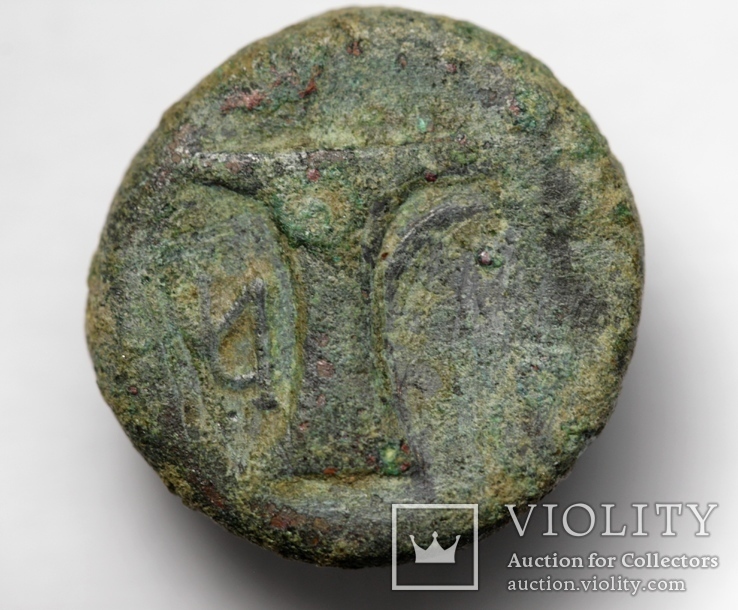 Еоліда, м.Кіми, IV-III ст.до н.е. – протома коня / скіфос, фото №8