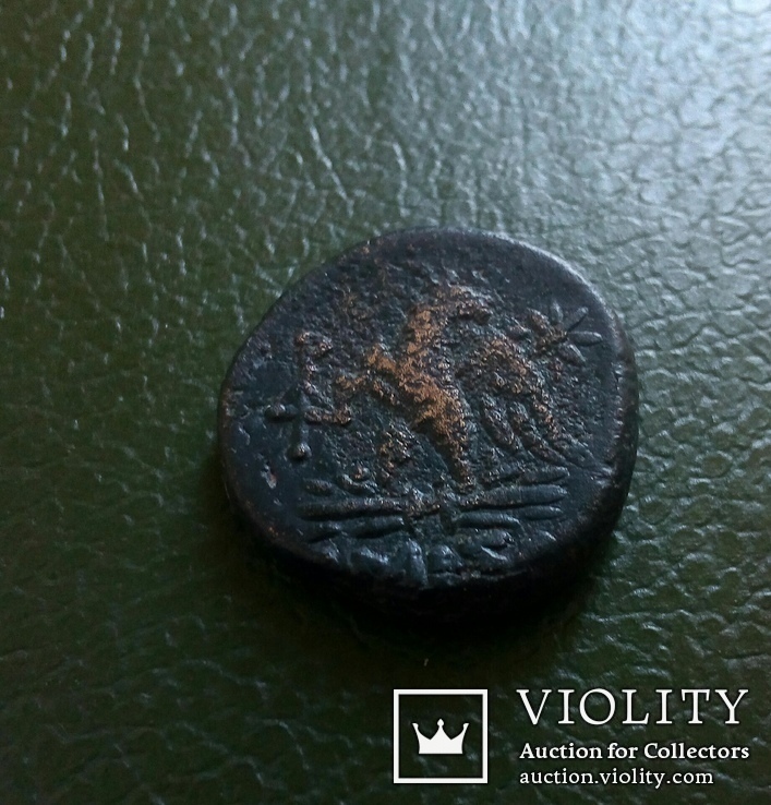 Античная монета города Амис., фото №5