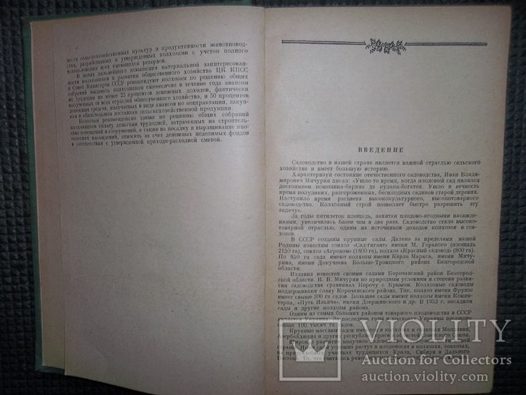 Справочник садовода.1956 год., фото №5