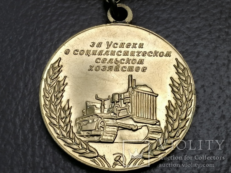 Большая золотая медаль за успехи в сельском хозяйстве, фото №8