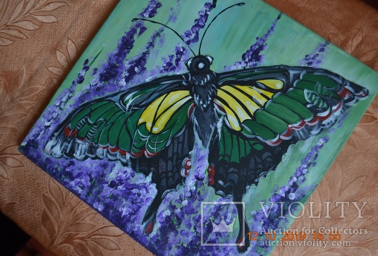 Картина "Метелик", 40х40 см., акрил, липень 2019 р., Овдієнко Марина, 12 років, фото №4
