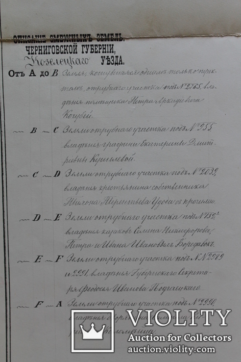 Геометрический специальный план Черниговской губернии, Козелецкого уезда, фото №7