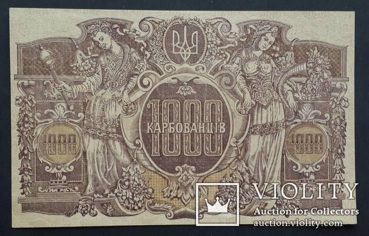 Украина. 1000 карбованцiв 1918 года. Серия АН. 2 номера подряд., фото №3