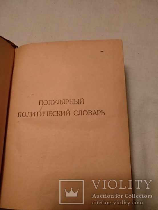 1925 Политический словарь популярный, фото №4