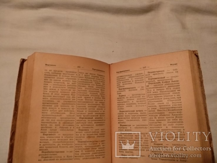 1925 Политический словарь популярный, фото №7