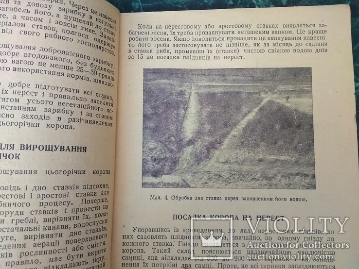 "Ставкове рибне господарство колгоспів України" І.М.Ростовцев.Київ 1946 Харків., фото №6